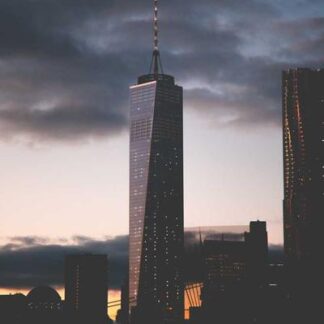 ACID GOLD BLONDIE GOLD UNIT 40CT