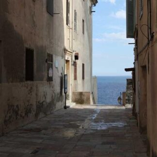 Oliva Nub Cain Maduro 460 Unit (24)