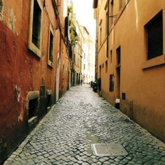 Chillin' Moose Bull Moose Gigante Unit (20)